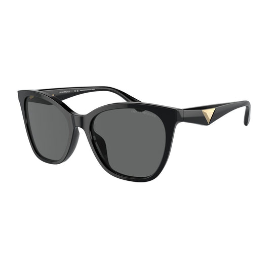 Ladies' Sunglasses Emporio Armani EA 4222U